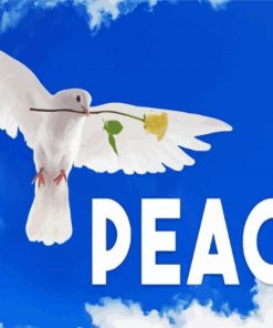 Peace Dove Paint By Number