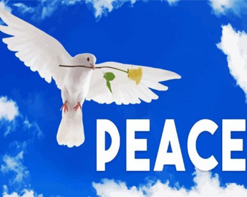 Peace Dove Paint By Number