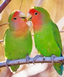 Rosy Faced Lovebirds On A Branch Paint By Number