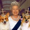 Royal Corgi Paint By Number