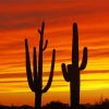 Sunset Arizona Paint By Number