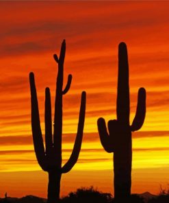 Sunset Arizona Paint By Number