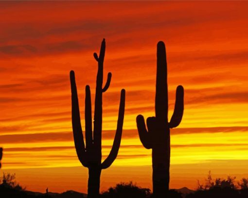 Sunset Arizona Paint By Number