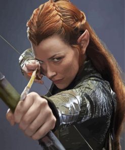 Tauriel Hobbit Paint By Number