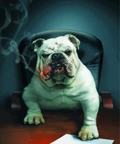 The Bulldog Smoking Cigar Paint By Number