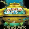 The Life Aquatic Paint By Number