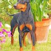 The Manchester Terrier Dog Paint By Number