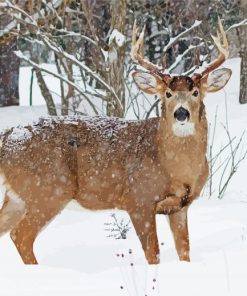 Aesthetic Deer In Snow Paint By Number