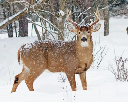 Aesthetic Deer In Snow Paint By Number