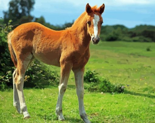 Aesthetic Horse Foal Paint By Number