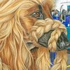 Afghan Hound Dog Paint By Number