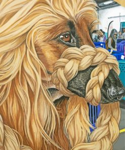 Afghan Hound Dog Paint By Number