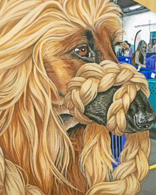 Afghan Hound Dog Paint By Number