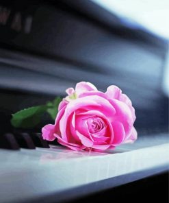 Beautiful Piano With Pink Rose Paint By Number