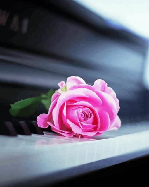 Beautiful Piano With Pink Rose Paint By Number