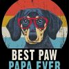 Best Paw Papa Ever Dog Quote Paint By Number