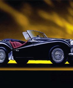 Black Triumph TR3A Paint By Number