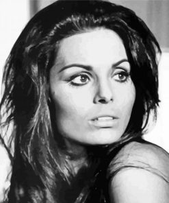 Black And White Daliah Lavi Art Paint By Number