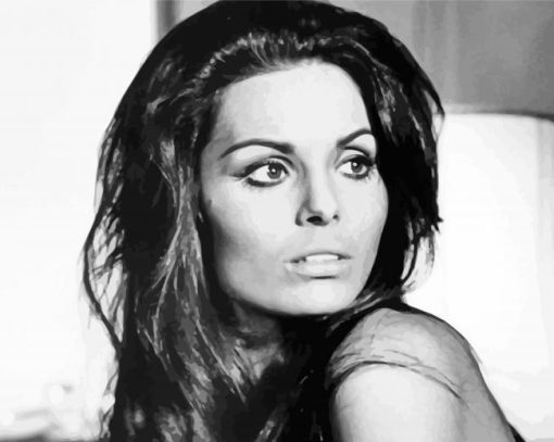 Black And White Daliah Lavi Art Paint By Number