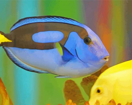 Blue And Yellow Fish Paint By Number