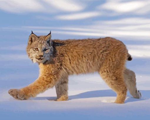 Cool Canada Lynx Paint By Number