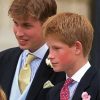 Cute Prince William And Harry Paint By Number