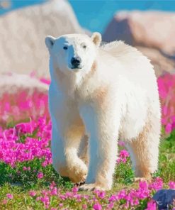 Cute Polar Bear In Flowers Field Paint By Number