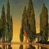 Cypress Trees Reflection Paint By Number