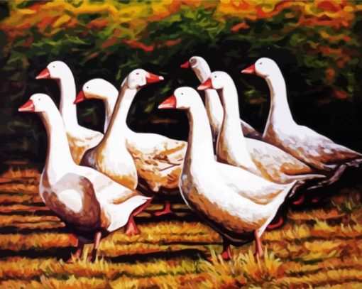 Danish Geese In The Garden Paint By Number