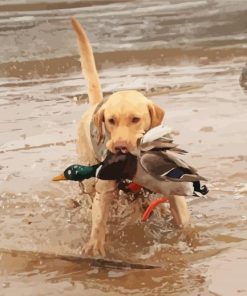 Dog Hunting Duck Paint By Number