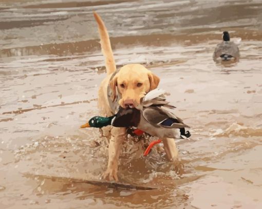 Dog Hunting Duck Paint By Number