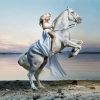 Fantasy Girl Riding A Horse Paint By Number