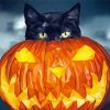 Halloween Cat Illustration Paint By Number