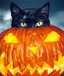 Halloween Cat Illustration Paint By Number