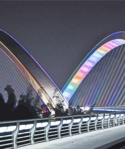 Nanning City Bridge At Night Paint By Number