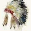 Native American Headdress Art Paint By Number