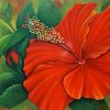 Orange Hibiscus Art Paint By Number