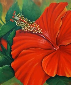 Orange Hibiscus Art Paint By Number