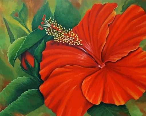 Orange Hibiscus Art Paint By Number