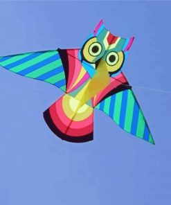 Owl Kites Paint By Number