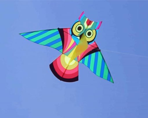 Owl Kites Paint By Number