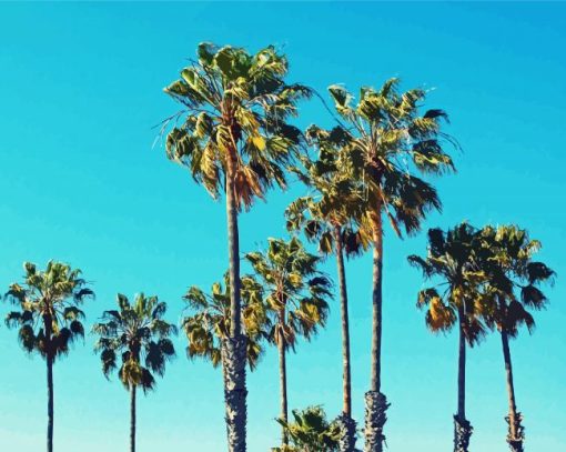 Palm Trees California Paint By Number