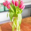 Pink Tulip Flower Vase Paint By Number