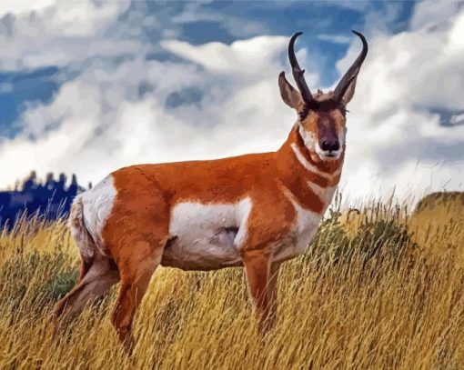 Pronghorn Deer Paint By Number