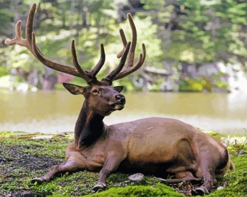 Relaxing Deer By The River Paint By Number