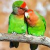 Romantic Parrot Love Bird Paint By Number