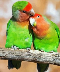 Romantic Parrot Love Bird Paint By Number