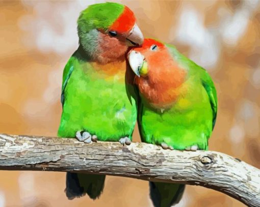 Romantic Parrot Love Bird Paint By Number