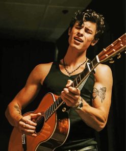 Shawn Mendes Singer Playing Guitar Paint By Number