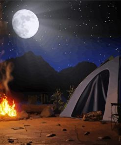 Summer Night Camping Paint By Number